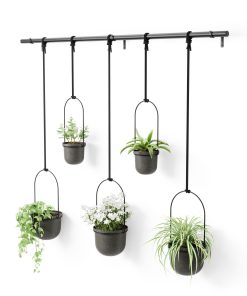 Triflora Hanging Planters, Set of 5