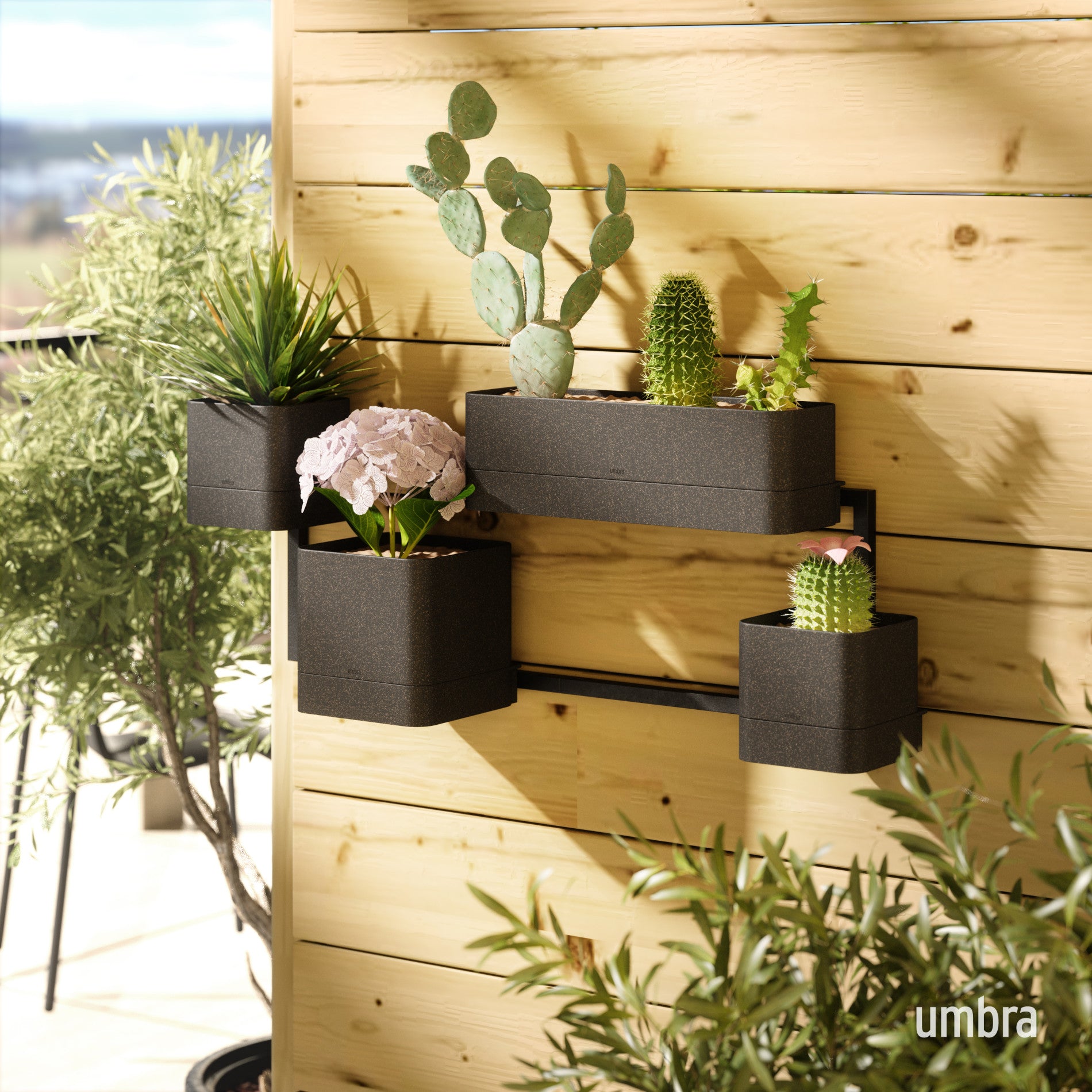 Cubiko Wall Planter - Image 4